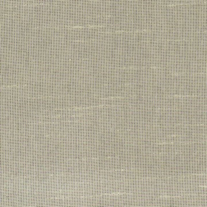 Fleeting Sand by Carole Designer Fabric Royale 100% Polyester India Passes 50,000 Double Rubs Wyzenbeek Horizontal: 0 and Vertical: 0 54 - Swanky Fabrics -