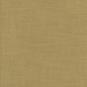 Fundamental Canyon by Carole Designer Fabric