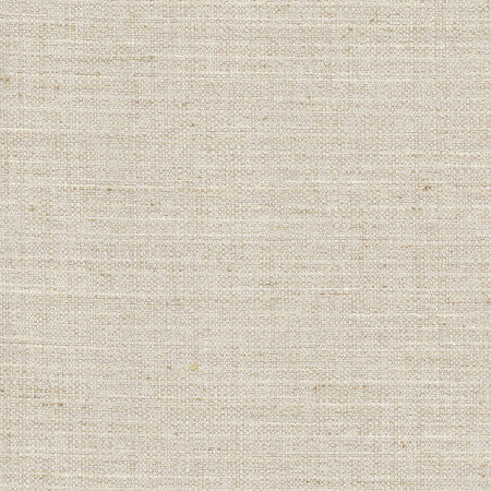 Rock Wall Linen by Carole Designer Fabric Opal 83% Polyester, 12% Cotton, 5% Rayon India N/A Horizontal: None and Vertical: None 55" - Swanky Fabrics -