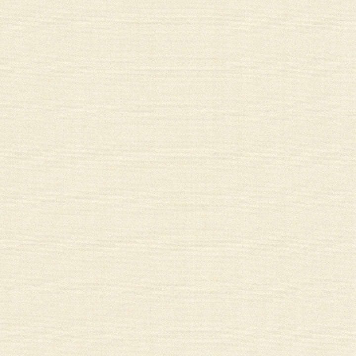 Tempt Cashmere by Carole Designer Fabric Royale 100% IFR Polyester India Passes 45,000 Double Rubs Wyzenbeek Horizontal: 0 and Vertical: 0 54 - Swanky Fabrics -