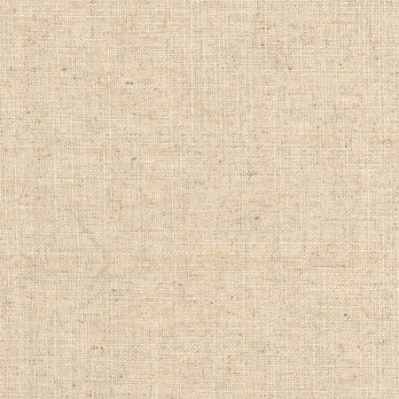 SHERIFF DUNE by Carole Designer Fabric Arlyn,Toasted Almond 36% COTTON, 30% POLYESTER, 17% VISCOSE, 17% LINEN INDIA Passes 30,000 Double Rubs Wyzenbeek NONE 54" - Swanky Fabrics -