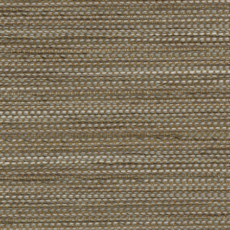 Forestall Shadow by Carole Designer Fabric Synchrony 100% Polyester Mexico None 58" - Swanky Fabrics -