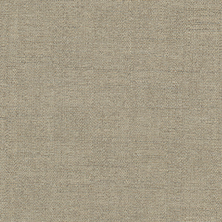 Cortland Taupe by Carole Designer Fabric Gala 100% Polyester India 30,000 WYZENBEEK DOUBLE RUBS None 54.75" - Swanky Fabrics -