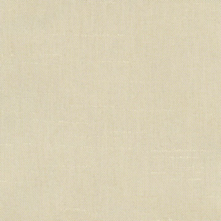 Fleeting Plantain by Carole Designer Fabric Royale 100% Polyester India Passes 50,000 Double Rubs Wyzenbeek Horizontal: 0 and Vertical: 0 54 - Swanky Fabrics -