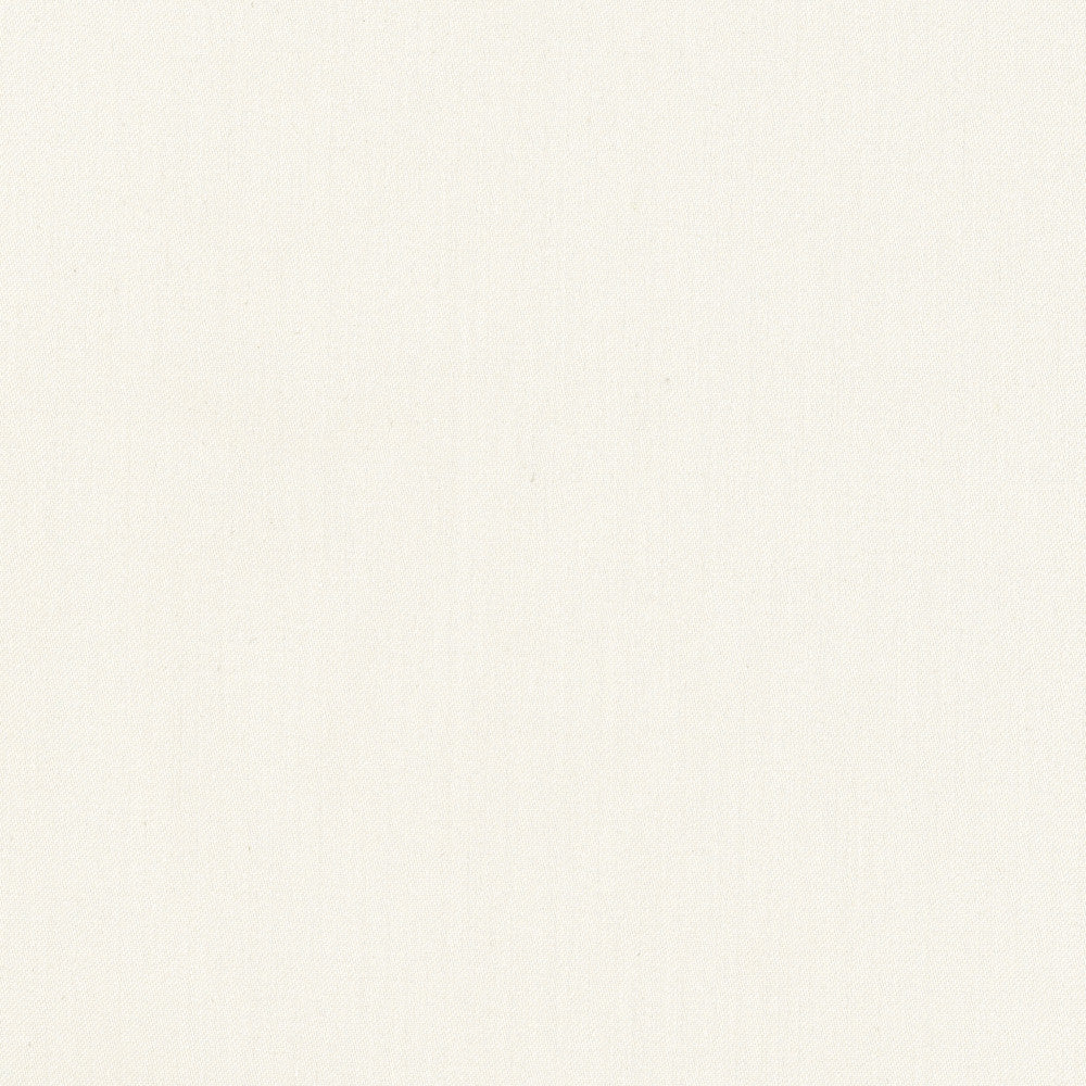 Comfort Alabaster by Carole Designer Fabric Daydreaming 100% Cotton India Passes 21,000 Double Rubs Wyzenbeek Horizontal: 0 and Vertical: 0 54 - Swanky Fabrics -
