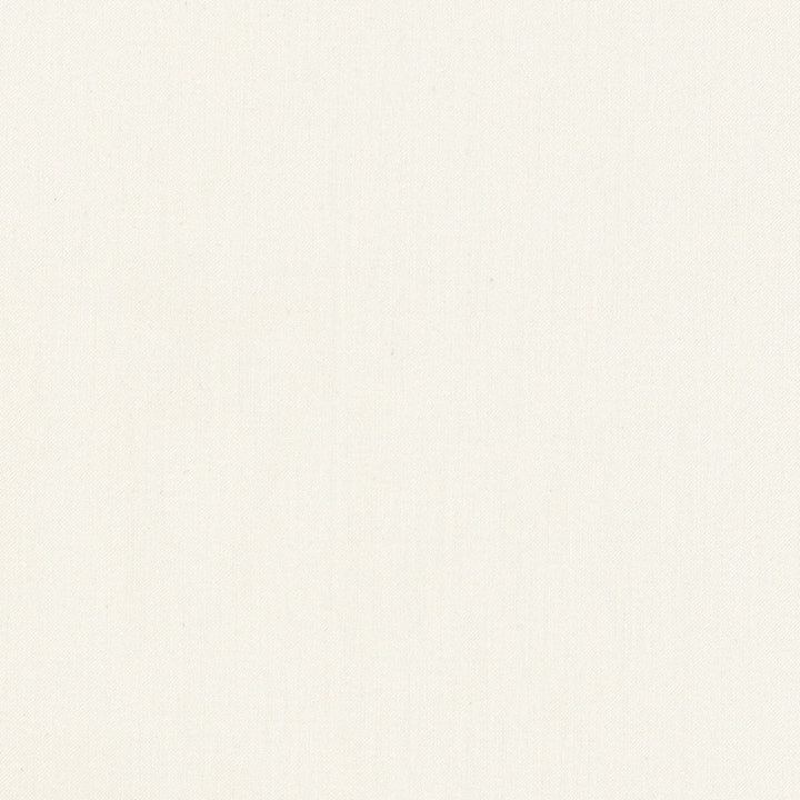 Comfort Alabaster by Carole Designer Fabric Daydreaming 100% Cotton India Passes 21,000 Double Rubs Wyzenbeek Horizontal: 0 and Vertical: 0 54 - Swanky Fabrics -