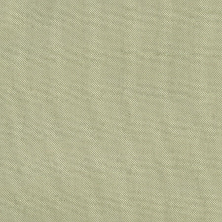 Fleeting Basil by Carole Designer Fabric Royale 100% Polyester India Passes 50,000 Double Rubs Wyzenbeek </p><p>Repeat: None 54" - Swanky Fabrics -