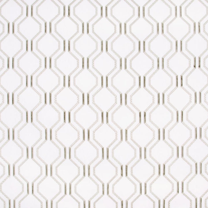 Dream Date Marble by Carole Designer Fabric Silver Fox 52% Cotton, 48% Polyester India Passes 30,000 Double Rubs Wyzenbeek Horizontal: 625 and Vertical: 625 52 - Swanky Fabrics -