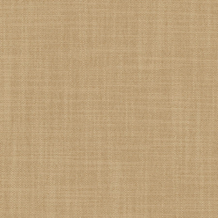 Brookings Sand by Carole Designer Fabric Enterprise 100% Polyester India 15,000 Wyzenbeek Double Rubs None 55" - Swanky Fabrics -