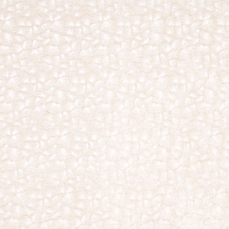 Sleeping Bear Ivory by Carole Designer Fabric Jungle Safari 100% Polyester China 5 1/2" V, 5" H 55" - Swanky Fabrics -