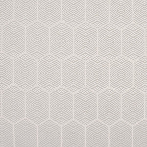 Break Free Platinum by Carole Designer Fabric