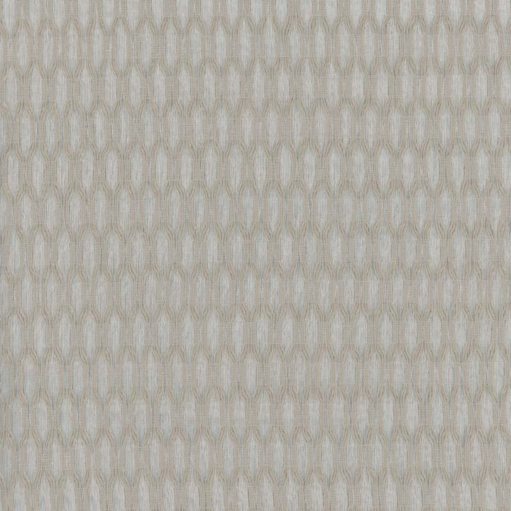 Light It Up Linen by Carole Designer Fabric Sheer Divine 100% Polyester Turkey N/A Horizontal: 5 and Vertical: 125 118 - Swanky Fabrics -