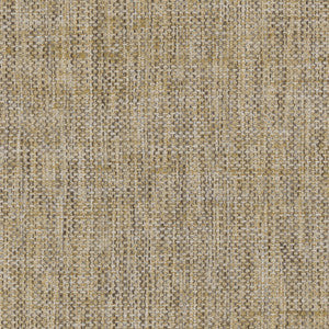 Breather Birch by Carole Designer Fabric