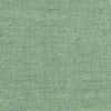 Training Day Aqua by Carole Designer Fabric