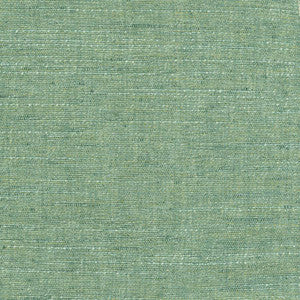 Training Day Aqua by Carole Designer Fabric