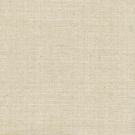 Rock Wall Wheat by Carole Designer Fabric Opal 83% Polyester, 12% Cotton, 5% Rayon India None 55" - Swanky Fabrics -