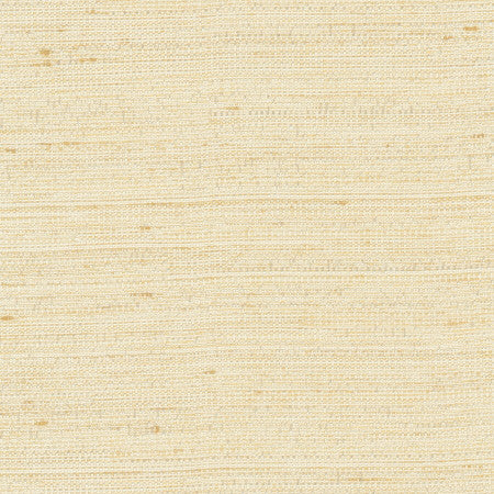 Aiden Champagne by Carole Designer Fabric Chestnut 100% Polyester India None 54" - Swanky Fabrics -
