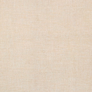 Nash Canvas by Carole Designer Fabric
