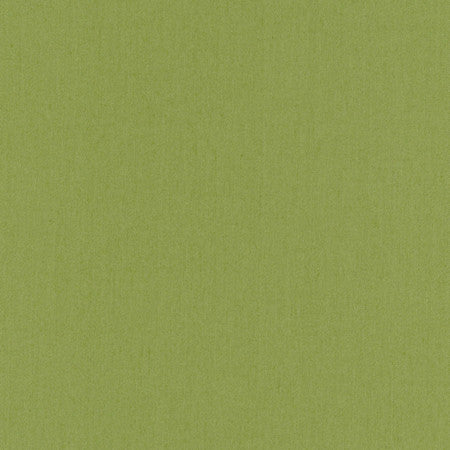 Comfort Grass by Carole Designer Fabric Daydreaming 100% Cotton India None 54" - Swanky Fabrics -