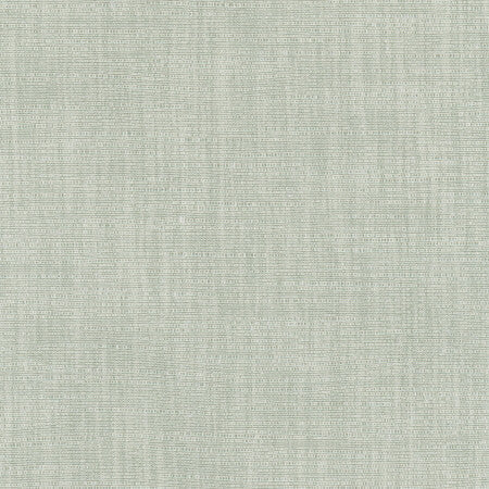 Athlete Ivy by Carole Designer Fabric Celadon 60% Cotton, 40% Polyester India None 55" - Swanky Fabrics -