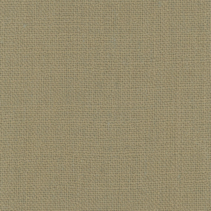 Defense Bark by Carole Designer Fabric Chestnut 95% Polyester, 5% Linen China Passes 110,000 Double Rubs Wyzenbeek Horizontal: 0 and Vertical: 0 57 - Swanky Fabrics -