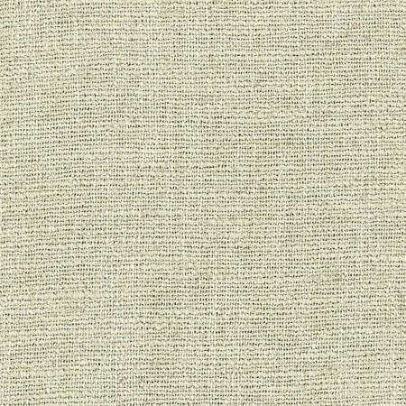 Warden Celery by Carole Designer Fabric Laguna 90% Polyester, 10% Linen CHINA 20,000 Wyzenbeek Double Rubs None 55" - Swanky Fabrics -