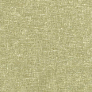 Aspire To Fern by Carole Designer Fabric