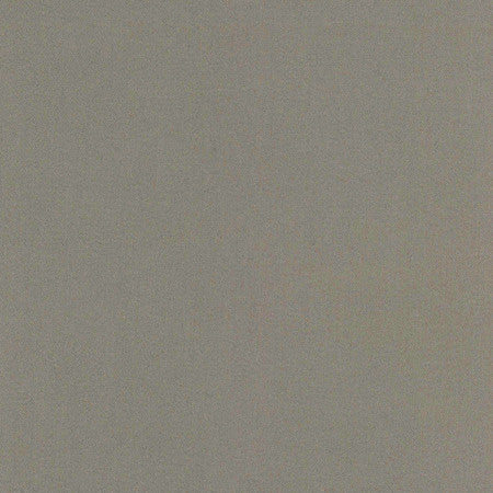 Comfort Shale by Carole Designer Fabric Daydreaming 100% Cotton India Passes 21,000 Double Rubs Wyzenbeek Horizontal: None and Vertical: None 54" - Swanky Fabrics -