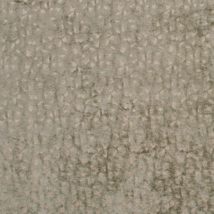 Sleeping Bear Dune by Carole Designer Fabric