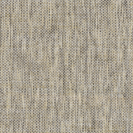 Breather Ash by Carole Designer Fabric Synchrony 100% Polyester Turkey 30,000 Wyzenbeek Double Rubs </p><p>Repeat: None 54" - Swanky Fabrics -