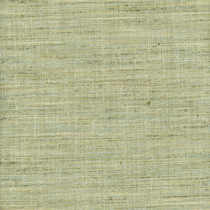 Gear Up Peapod by Carole Designer Fabric Celadon 100% Polyester India Passes 30,000 Double Rubs Wyzenbeek Horizontal: 0 and Vertical: 0 5475 - Swanky Fabrics -