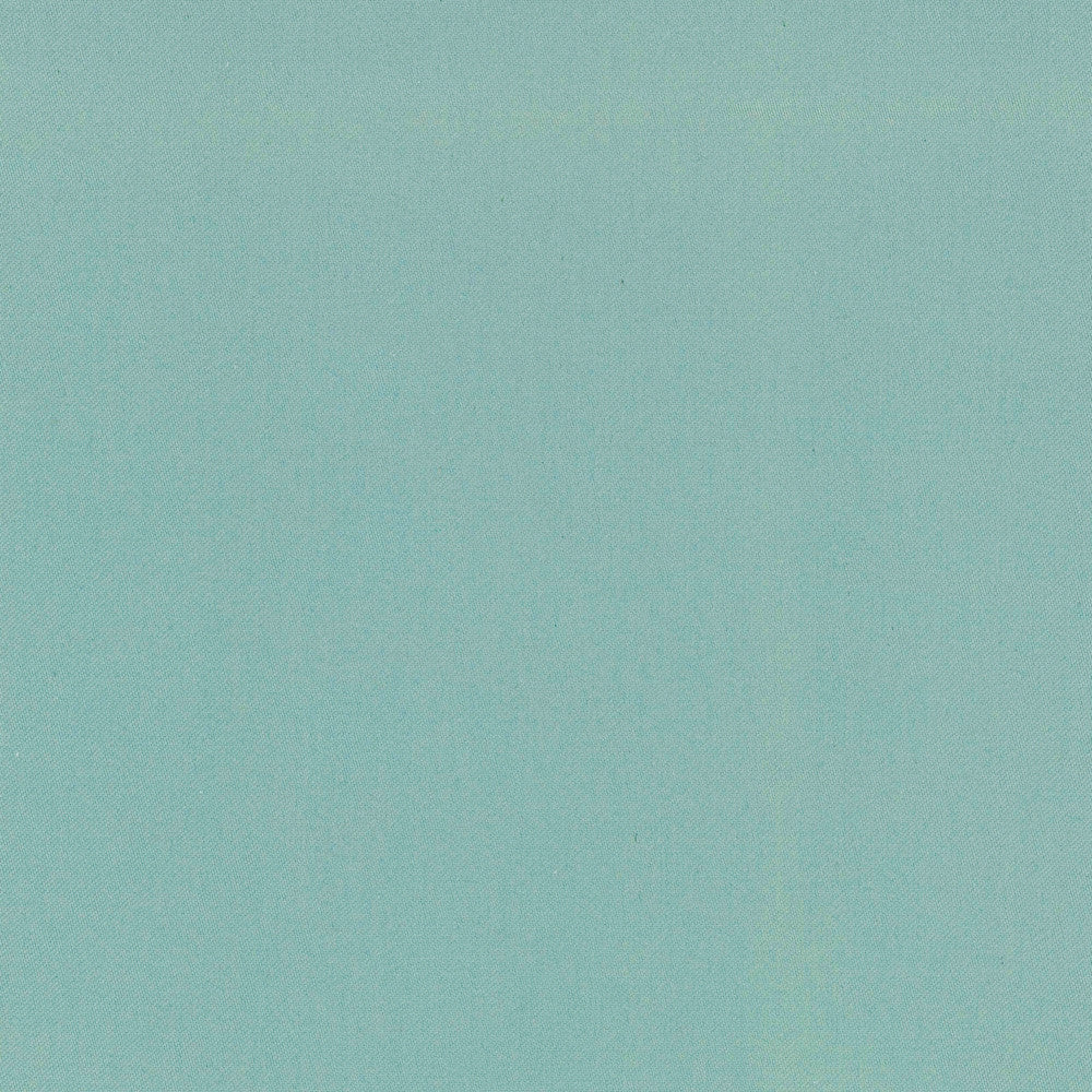 Comfort Azure by Carole Designer Fabric Daydreaming 100% Cotton India Passes 21,000 Double Rubs Wyzenbeek Horizontal: 0 and Vertical: 0 54 - Swanky Fabrics -