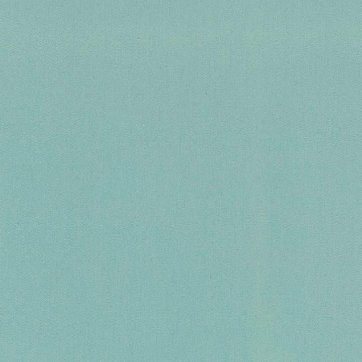 Comfort Azure by Carole Designer Fabric Daydreaming 100% Cotton India Passes 21,000 Double Rubs Wyzenbeek Horizontal: 0 and Vertical: 0 54 - Swanky Fabrics -