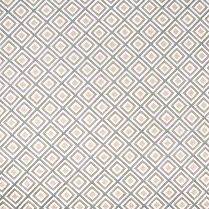 Time Will Tell Metallic by Carole Designer Fabric Silver Fox 52% Cotton, 48% Polyester India Passes 30,000 Double Rubs Wyzenbeek Horizontal: 4625 and Vertical: 4625 51 - Swanky Fabrics -