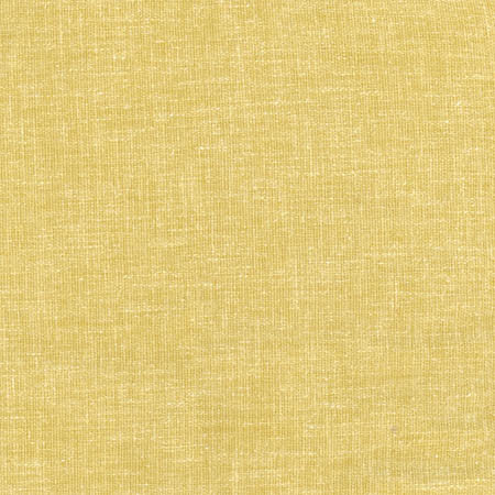 Aspire To Citrus by Carole Designer Fabric Laguna 65% Polyester, 25% Cotton, 10% Linen INDIA N/A None 54" - Swanky Fabrics -