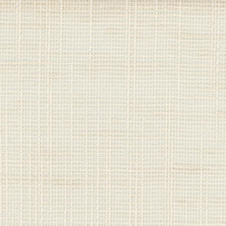 Slow Down Vanilla by Carole Designer Fabric COME HOME 100% Polyester India N/A </p><p>Repeat: None 54" - Swanky Fabrics -