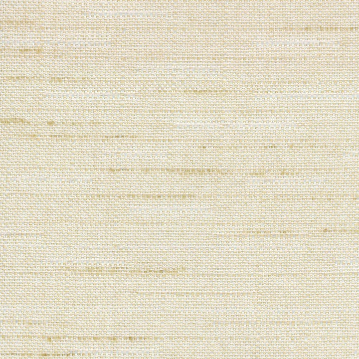 Banksville Beach by Carole Designer Fabric Bigelow 100% Polyester Mexico Passes 18,000 Double Rubs Wyzenbeek Horizontal: 0 and Vertical: 0 54 - Swanky Fabrics -