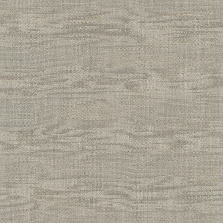 Athlete Slate by Carole Designer Fabric Pewter 60% Cotton, 40% Polyester India None 55" - Swanky Fabrics -
