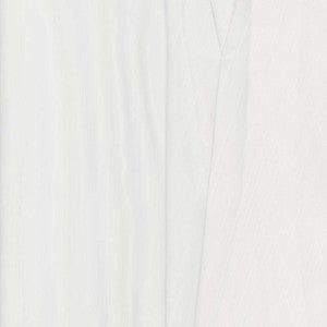 Holdback Winter White by Carole Designer Fabric