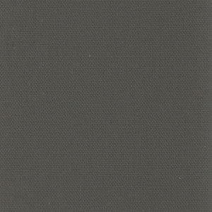 Daydreamer Charcoal by Carole Designer Fabric
