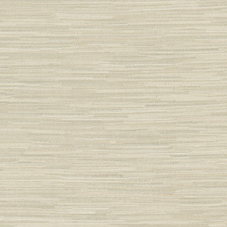 Suntan Raffia by Carole Designer Fabric Excursion 95% Polyester, 5% Cotton India 8,000 Wyzenbeek Double Rubs None 56.5" - Swanky Fabrics -