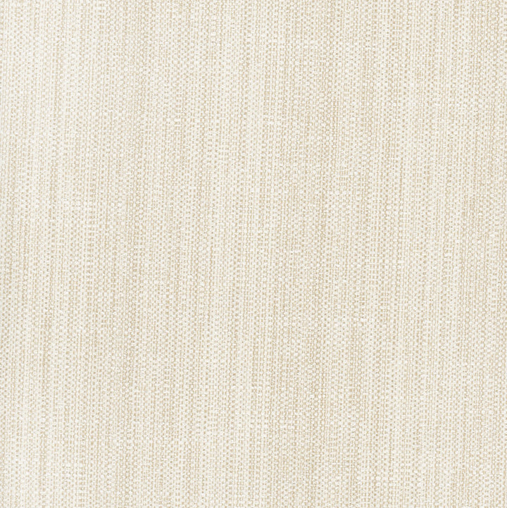 Rock Wall Raffia by Carole Designer Fabric Opal 83% Polyester, 12% Cotton, 5% Rayon India N/A Horizontal: 0 and Vertical: 0 55 - Swanky Fabrics -