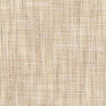 Create Birch by Carole Designer Fabric See It Through 100% Polyester India None 55" - Swanky Fabrics -