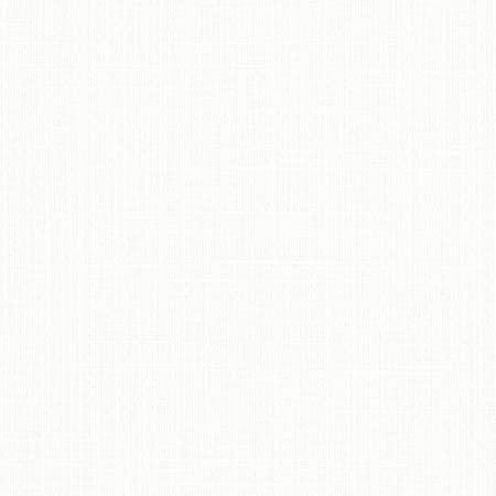 Duty Calls Glacier by Carole Designer Fabric Dove Wing 77% Polyester, 14% Cotton, 9% Linen INDIA None 54" - Swanky Fabrics -