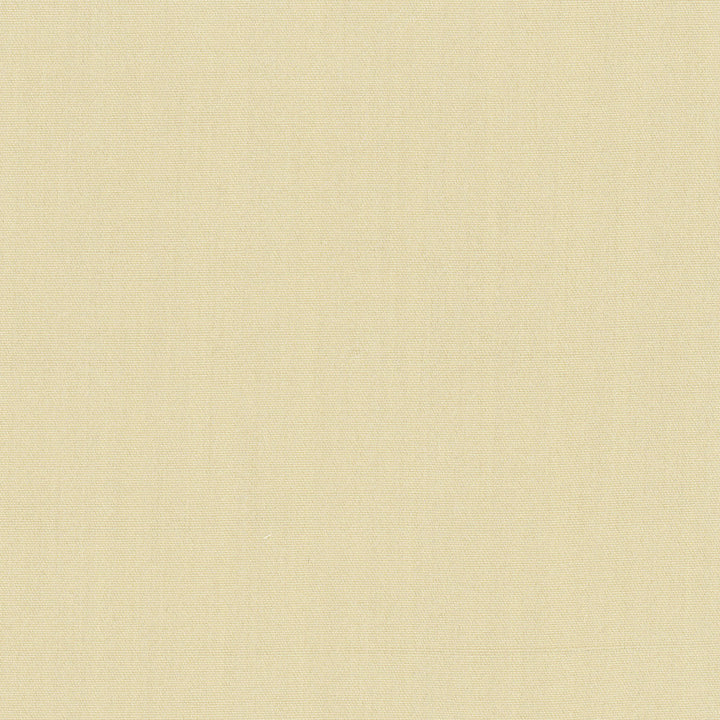 Tempt Champagne by Carole Designer Fabric Royale 100% IFR Polyester India Passes 45,000 Double Rubs Wyzenbeek Horizontal: 0 and Vertical: 0 54 - Swanky Fabrics -