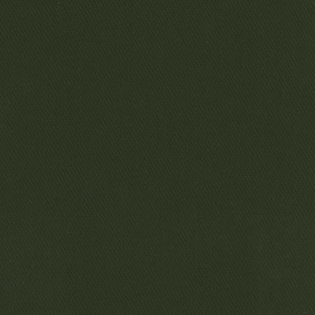 Kirkland Deep Green by Carole Designer Fabric Celadon 100% Cotton Brazil Passes 30,000 Double Rubs Wyzenbeek Horizontal: None and Vertical: None 64" - Swanky Fabrics -