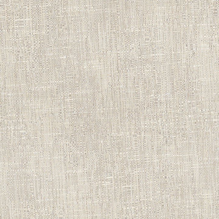 Hard Knocks Linen by Carole Designer Fabric Pewter 69% Polyester, 31% Cotton India Passes 30,000 Double Rubs Wyzenbeek Horizontal: 0 and Vertical: 0 555 - Swanky Fabrics -