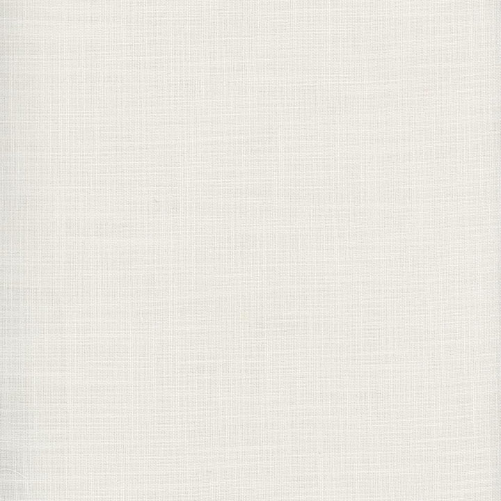 Fundamental Ivory by Carole Designer Fabric Fundamental 100% Polyester Turkey Passes 20,000 Double Rubs Wyzenbeek Horizontal: 0 and Vertical: 0 54 - Swanky Fabrics -