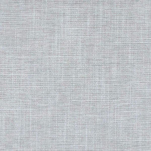 Big Thinker Cloud by Carole Designer Fabric