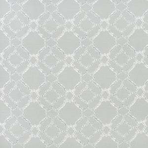 Byram Ridge Silver by Carole Designer Fabric
